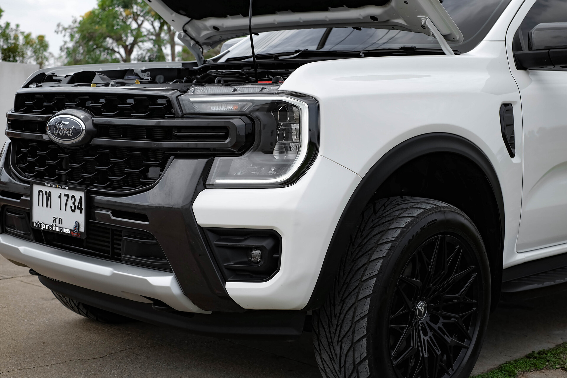 gallery-3900