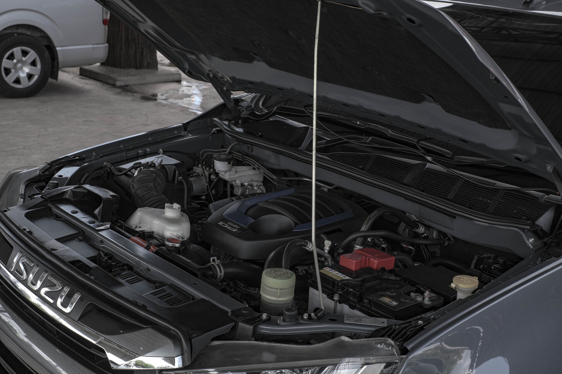 gallery-4230